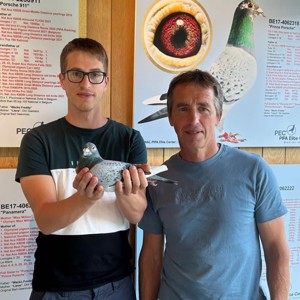 Pigeon image