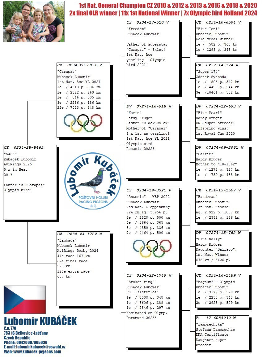 Pigeon pedigree image