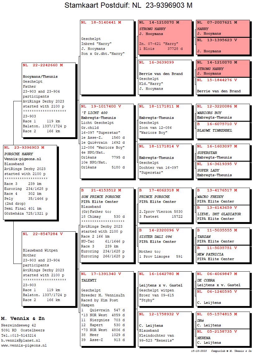 Pigeon pedigree image