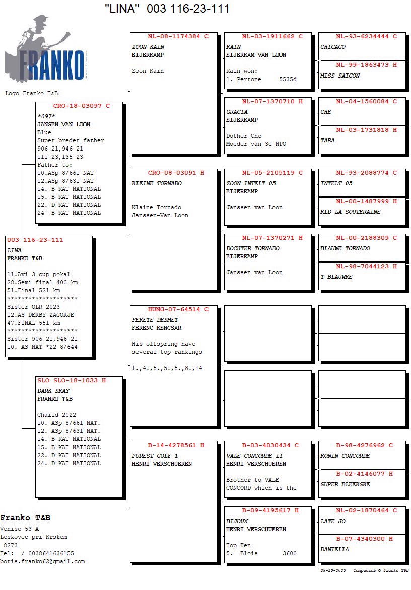 Pigeon pedigree image