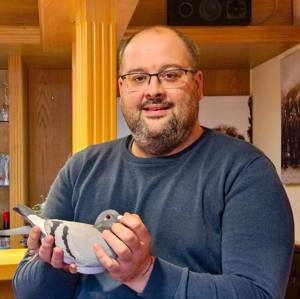 Pigeon image