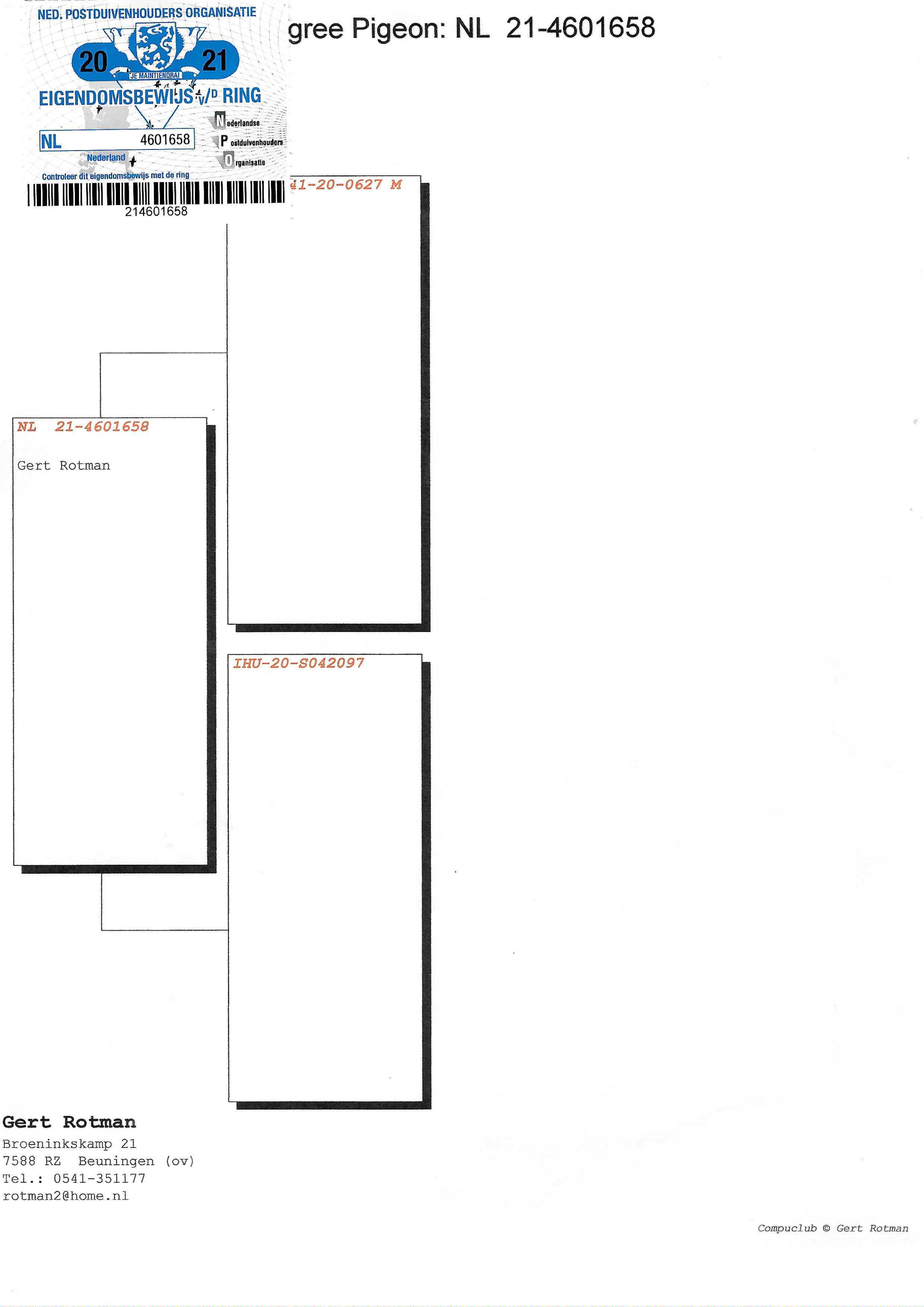 Pigeon pedigree image