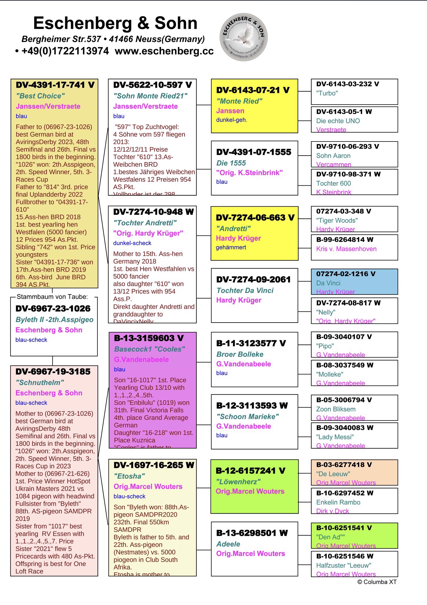 Pigeon pedigree image