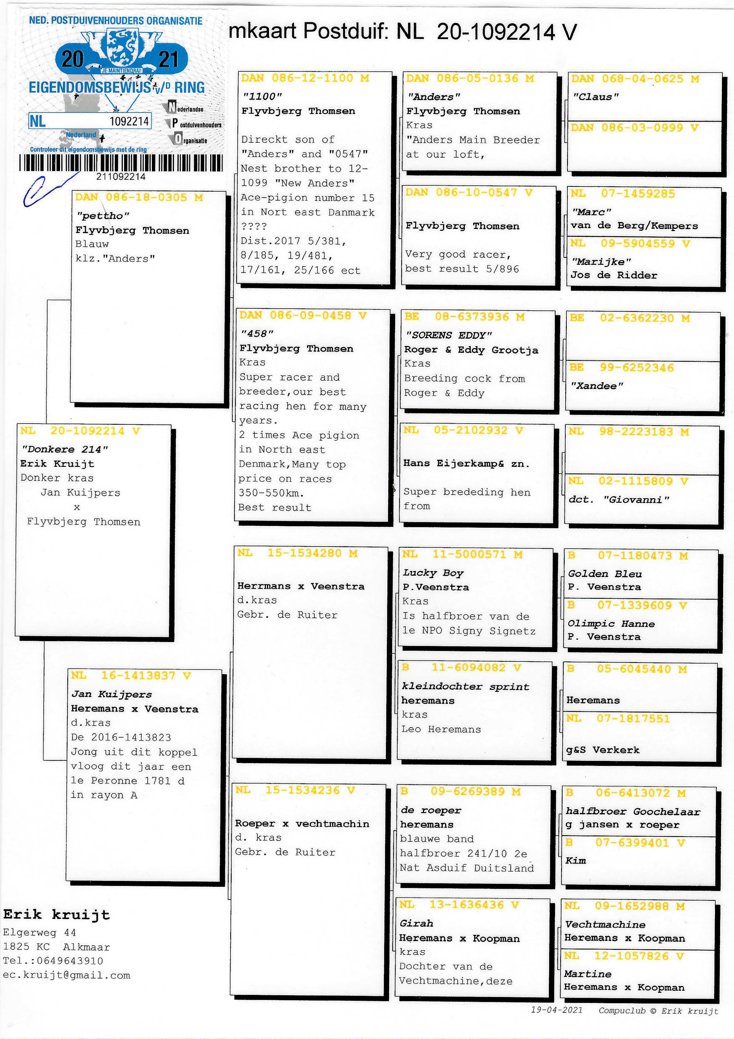 Pigeon pedigree image