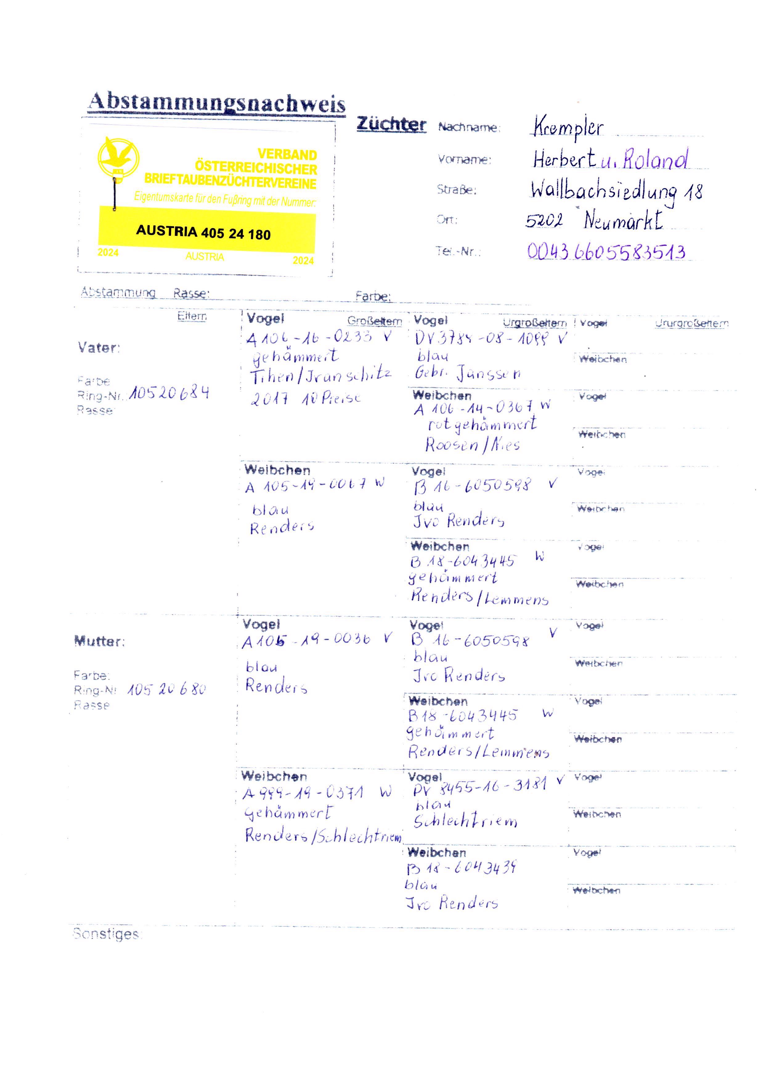 Pigeon pedigree image