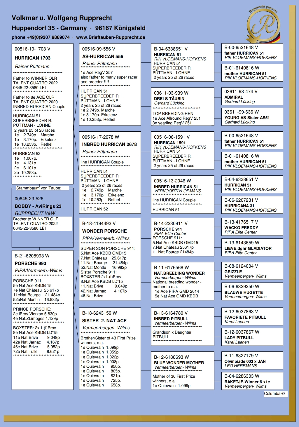 Pigeon pedigree image