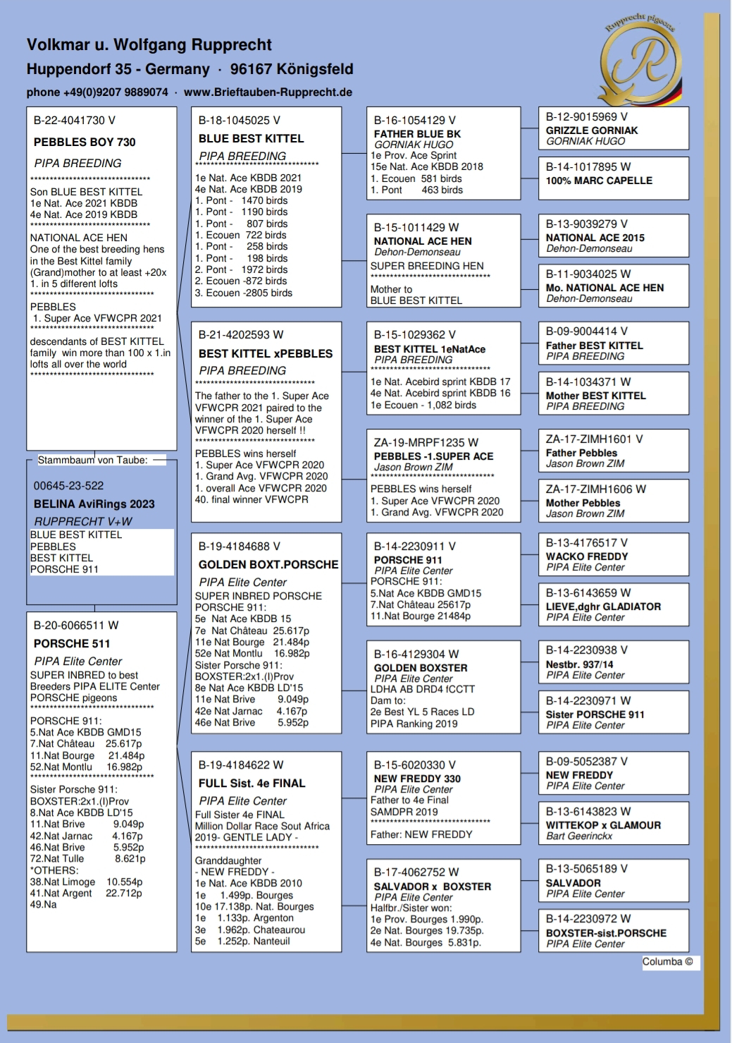 Pigeon pedigree image