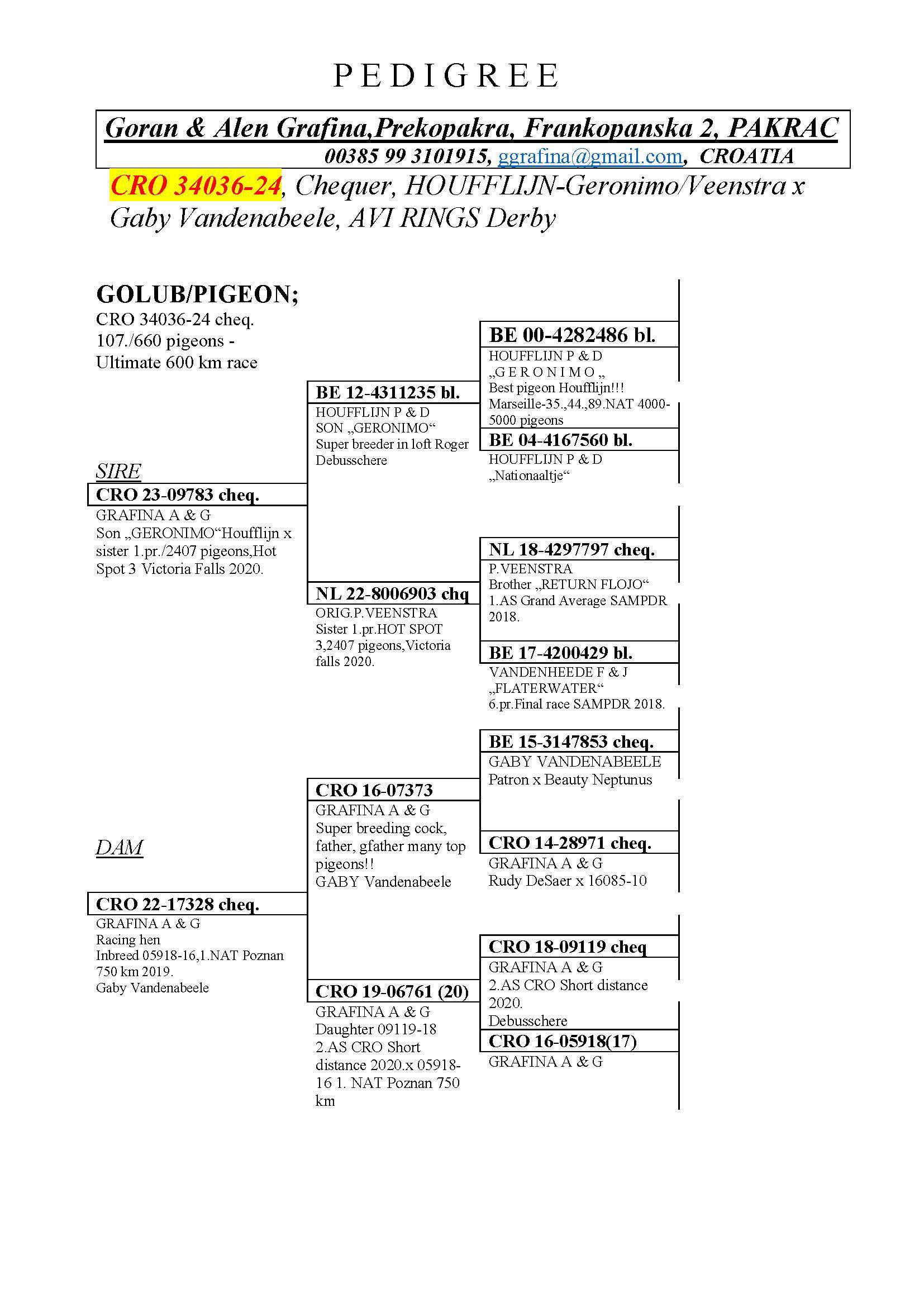 Pigeon pedigree image