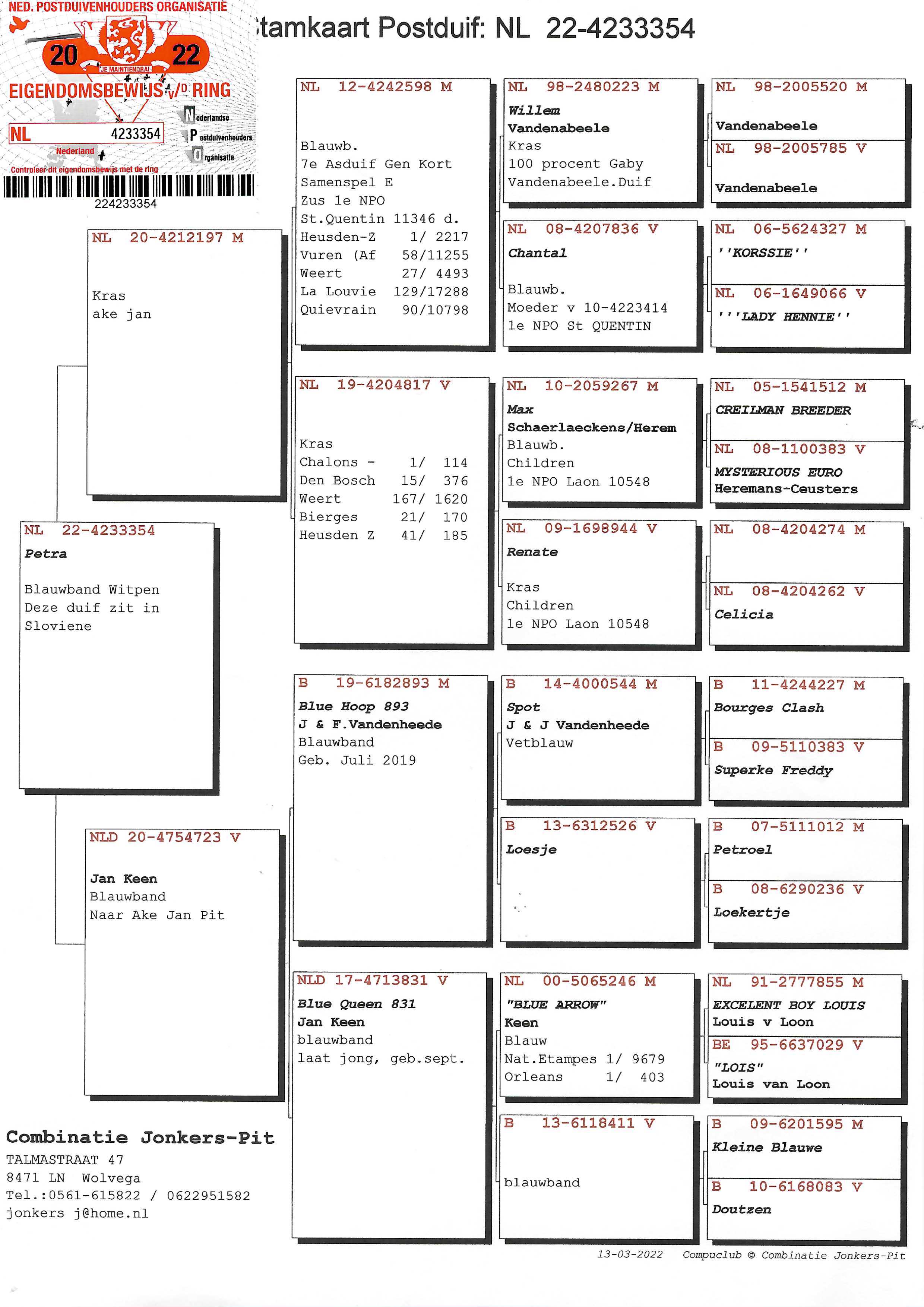 Pigeon pedigree image