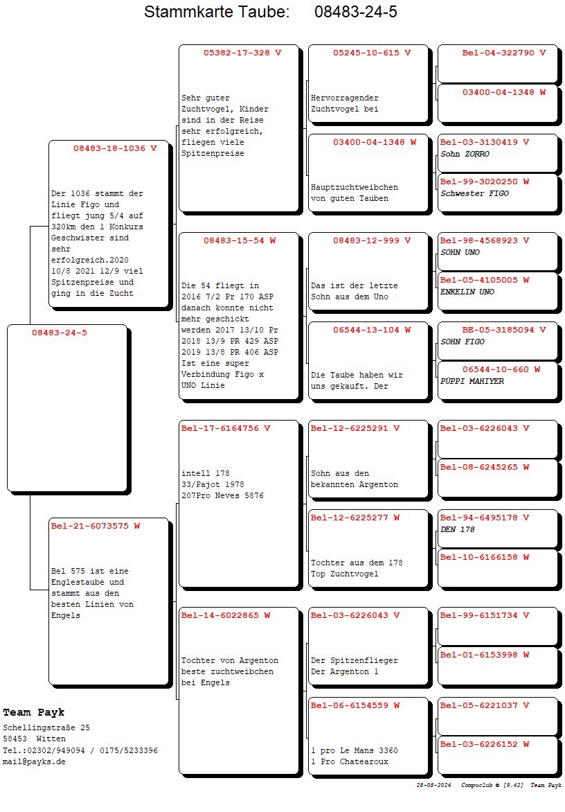 Pigeon pedigree image