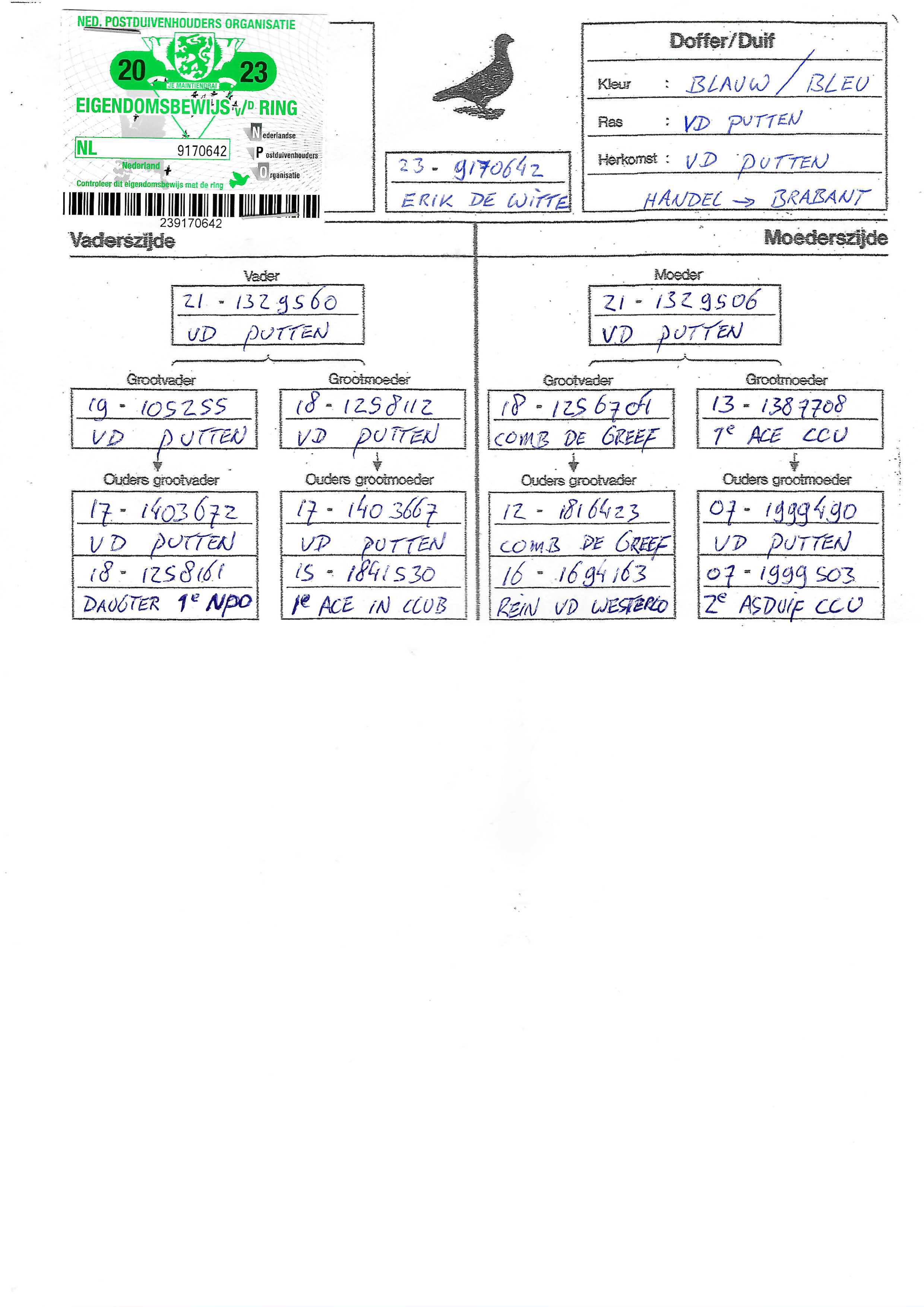 Pigeon pedigree image