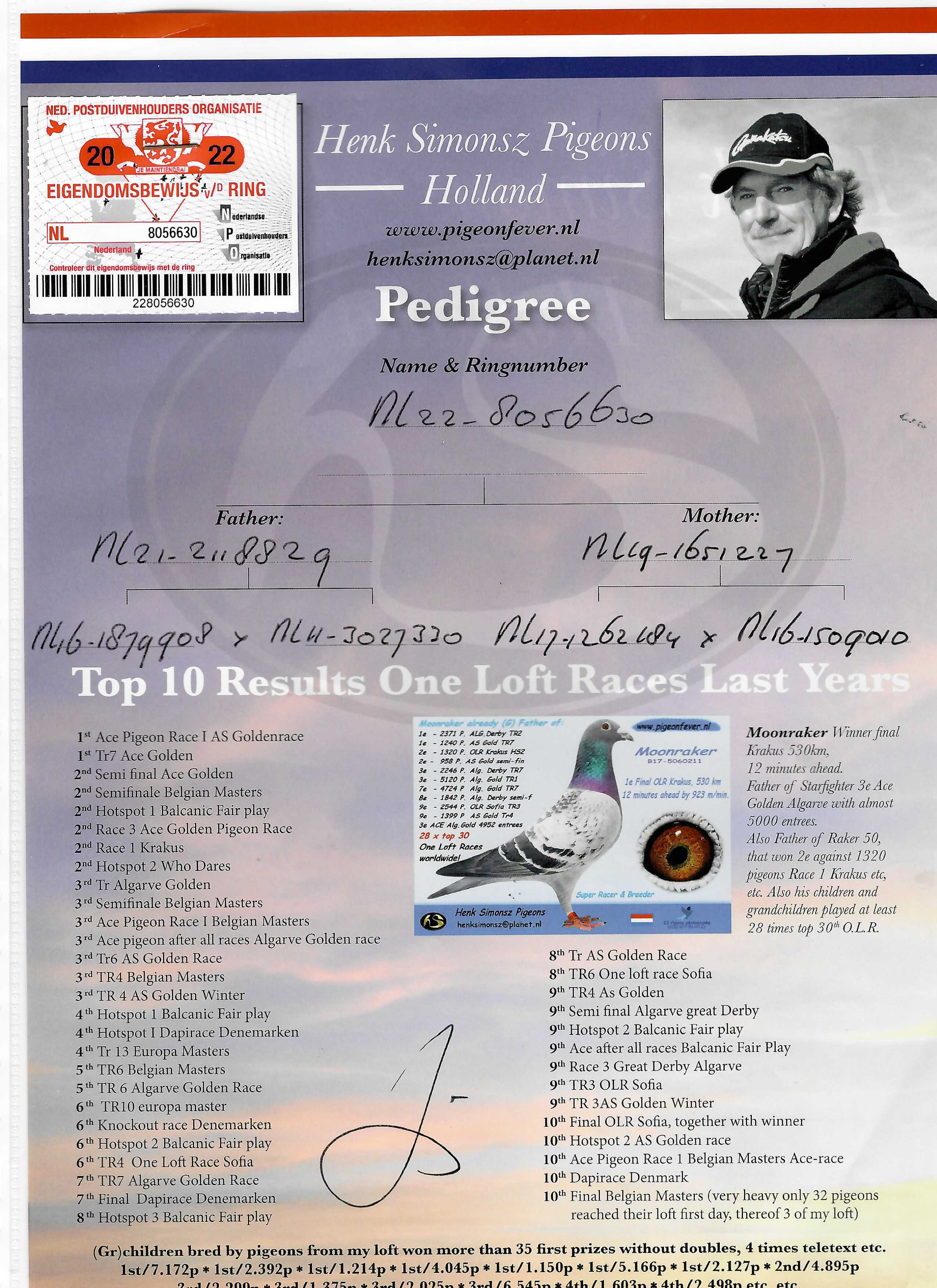 Pigeon pedigree image