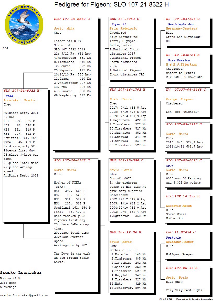 Pigeon pedigree image