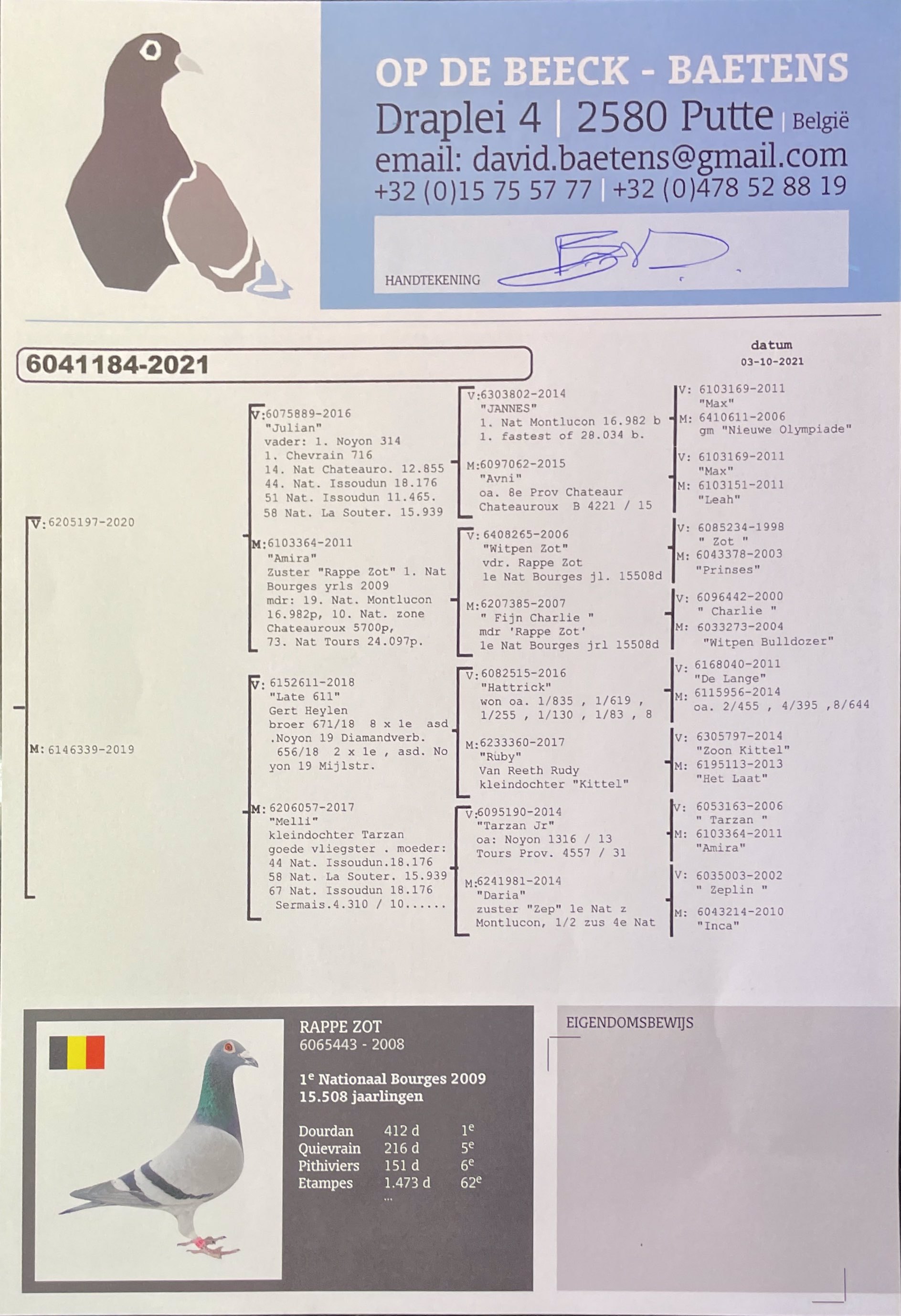 Pigeon pedigree image