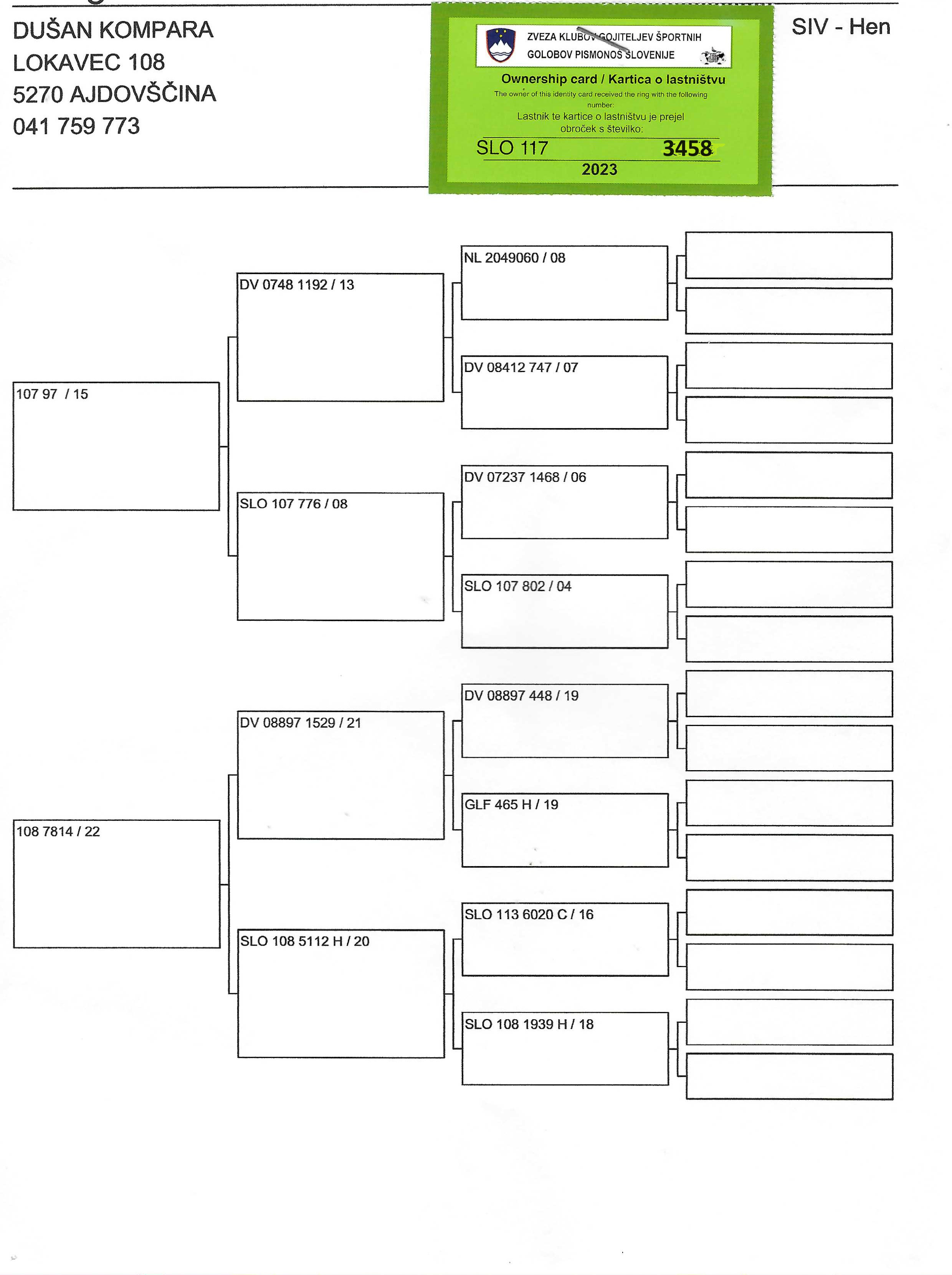 Pigeon pedigree image