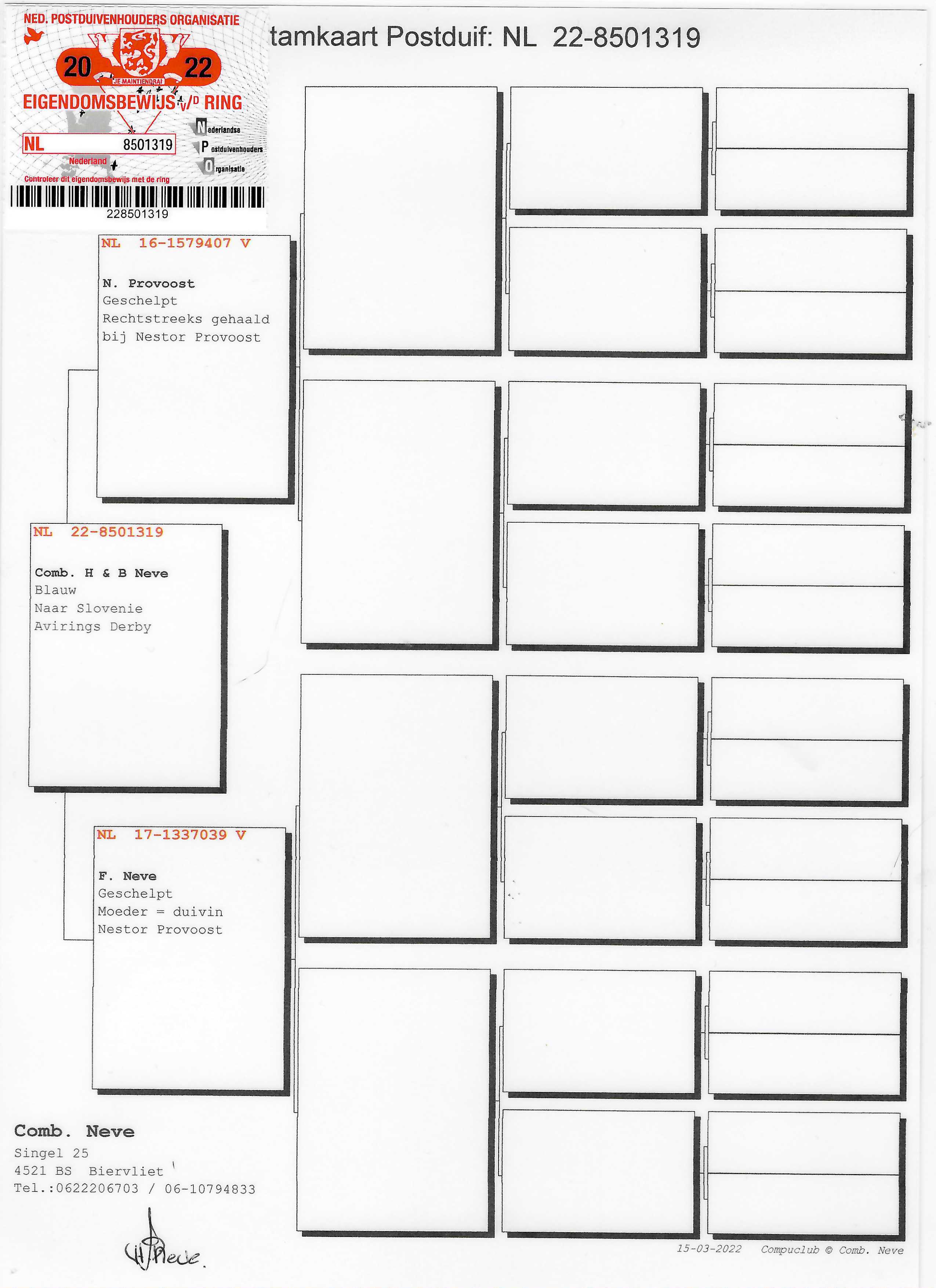 Pigeon pedigree image