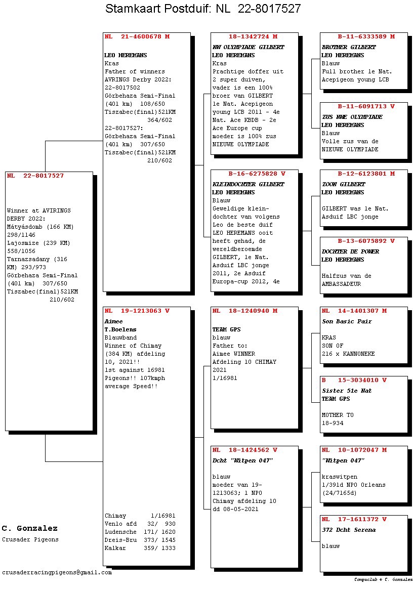 Pigeon pedigree image