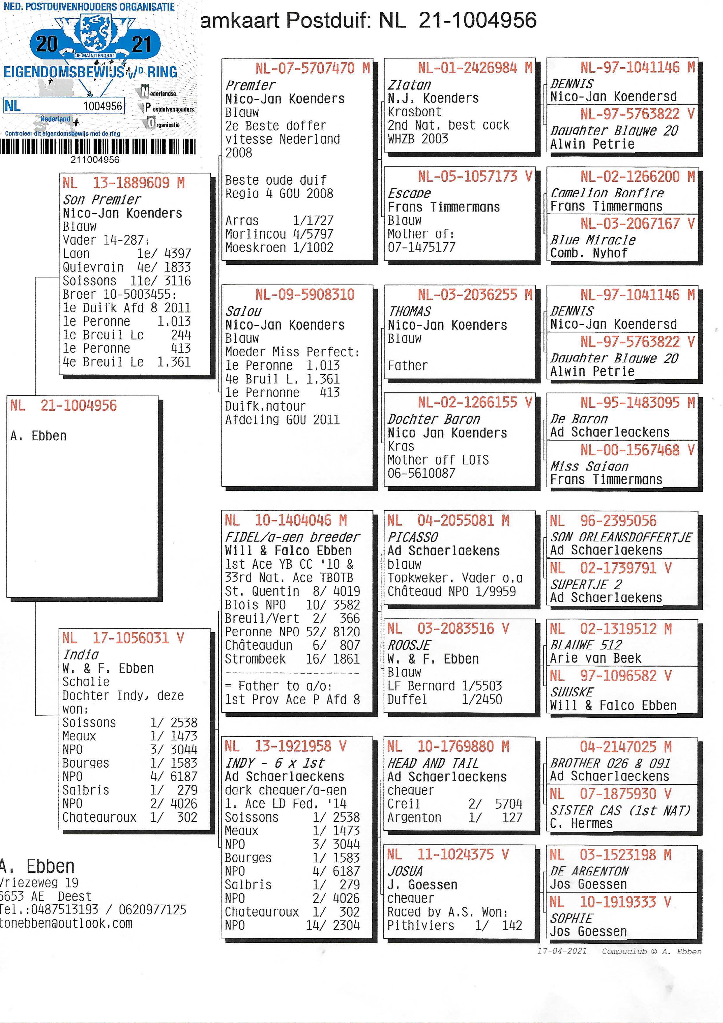 Pigeon pedigree image