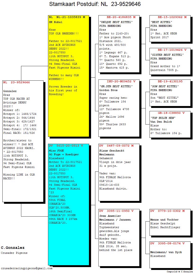Pigeon pedigree image