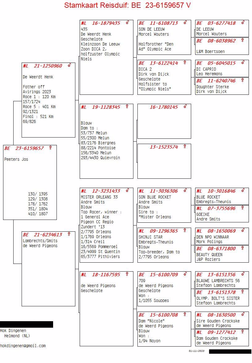 Pigeon pedigree image