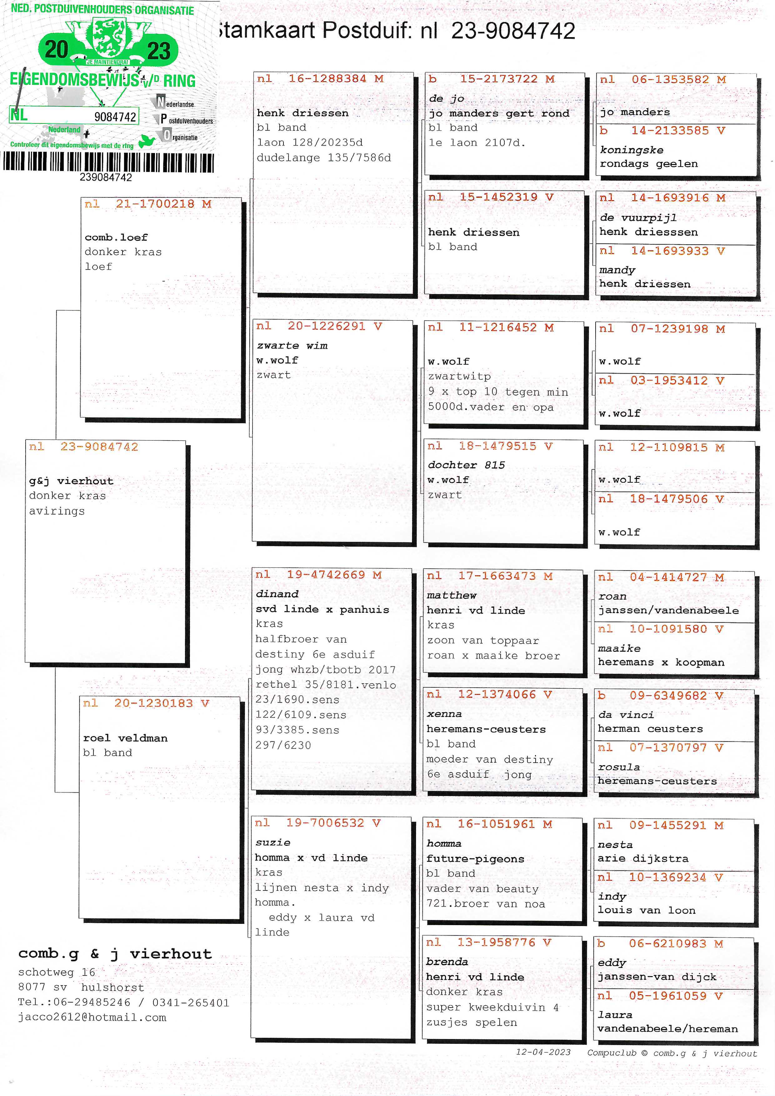 Pigeon pedigree image