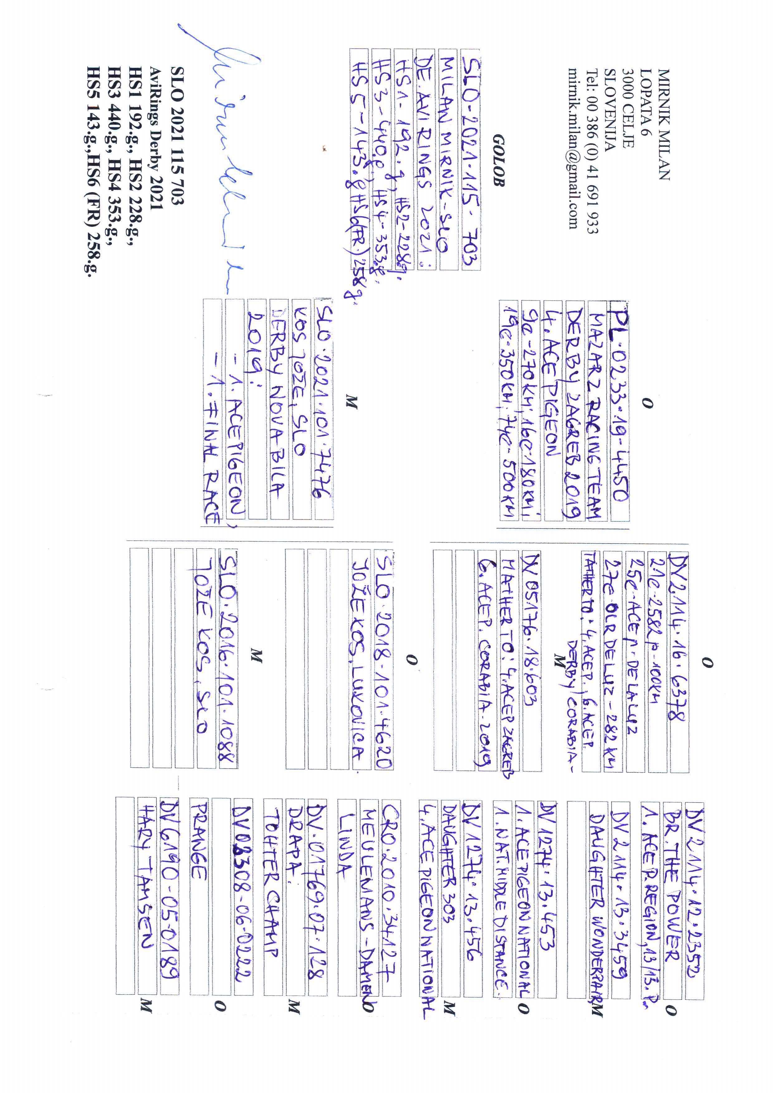 Pigeon pedigree image
