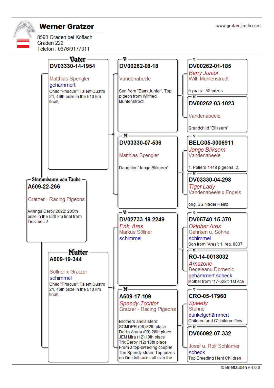 Pigeon pedigree image