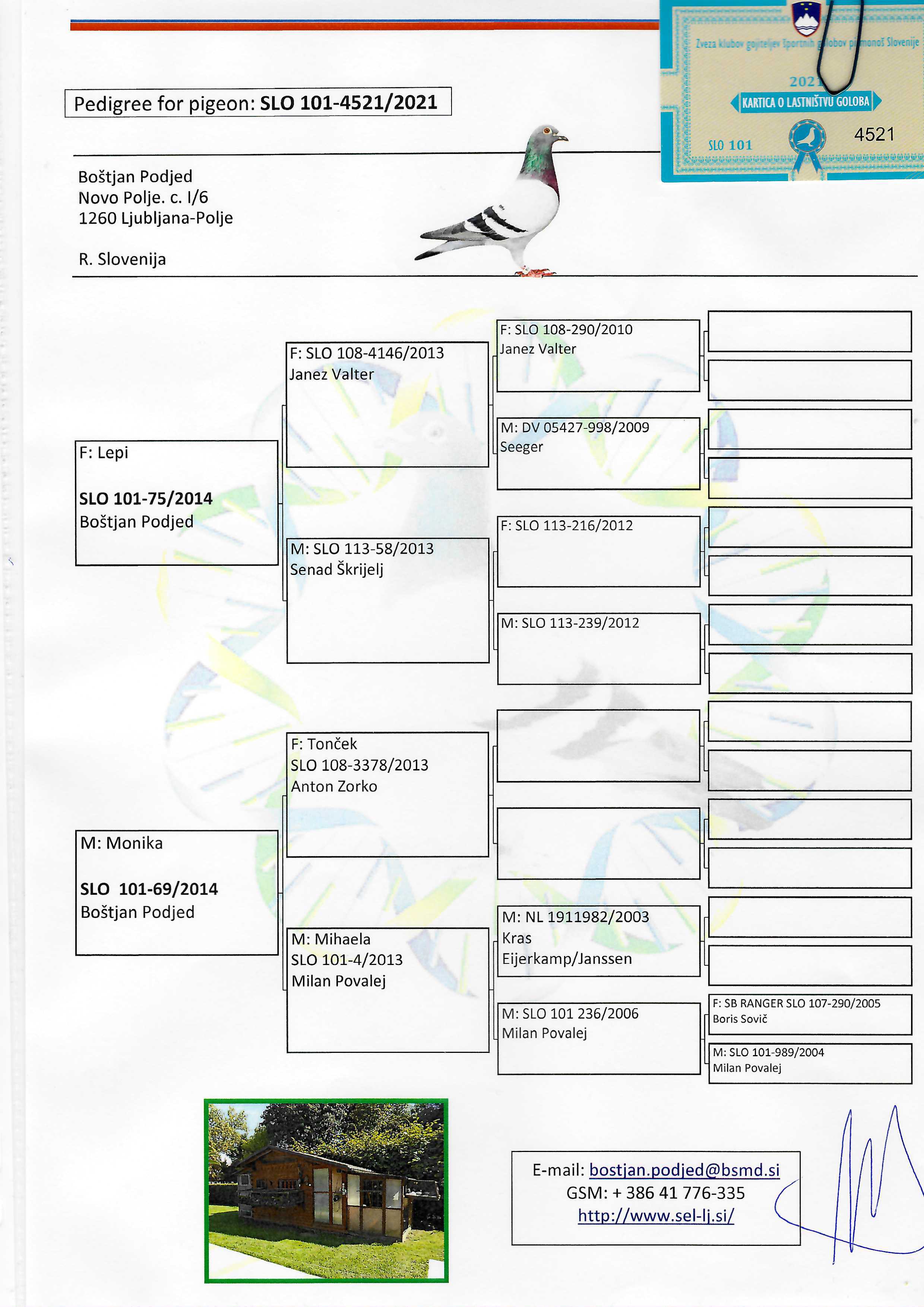 Pigeon pedigree image