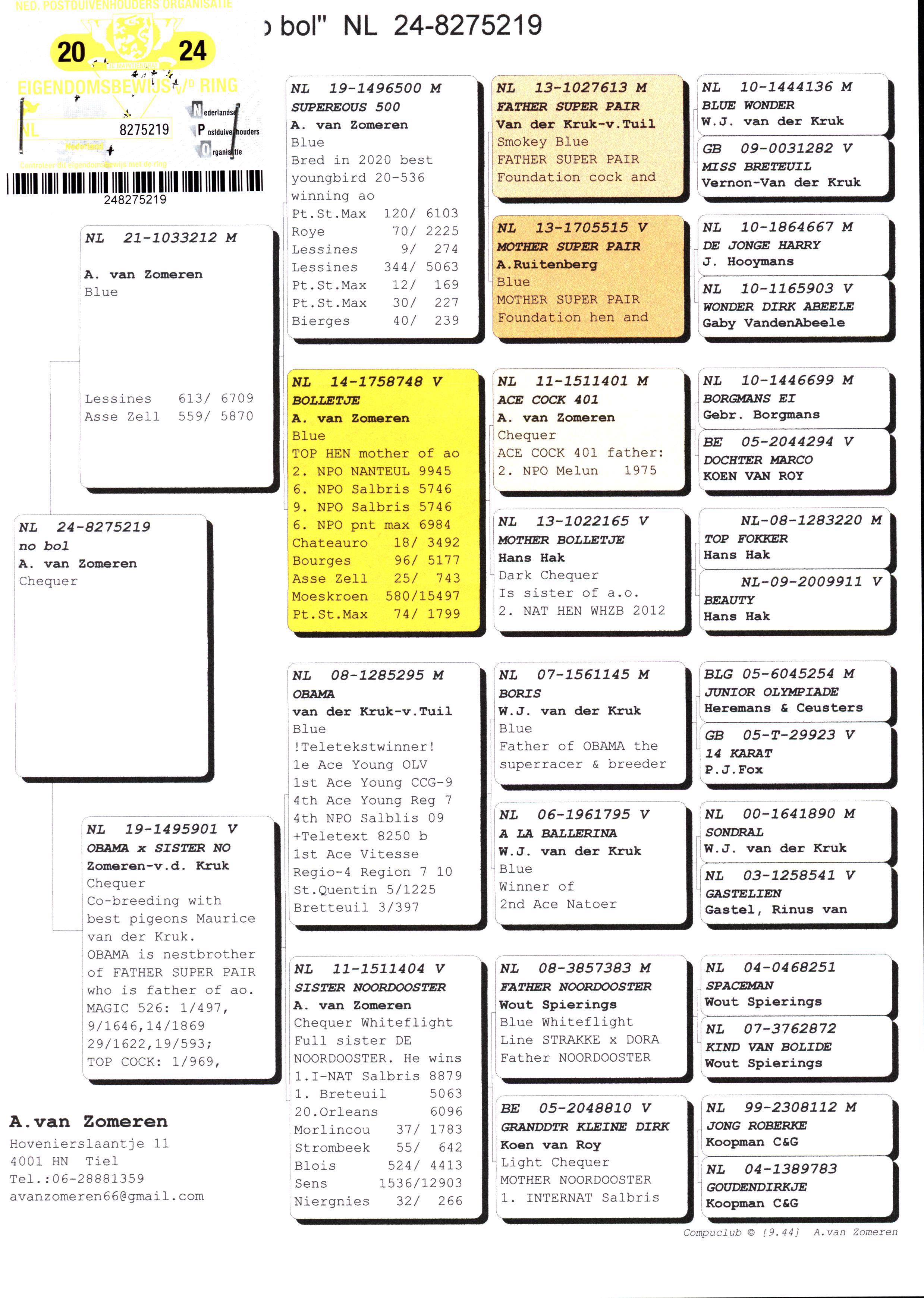Pigeon pedigree image