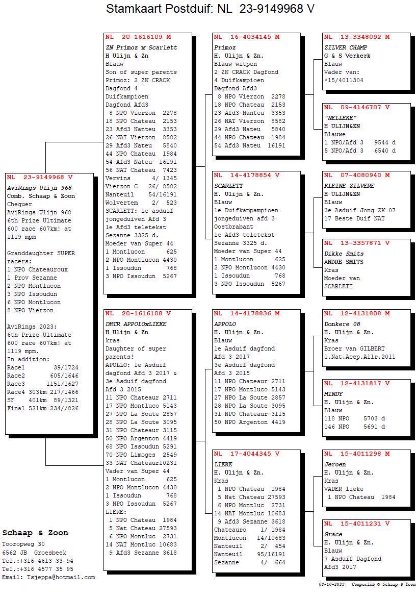 Pigeon pedigree image