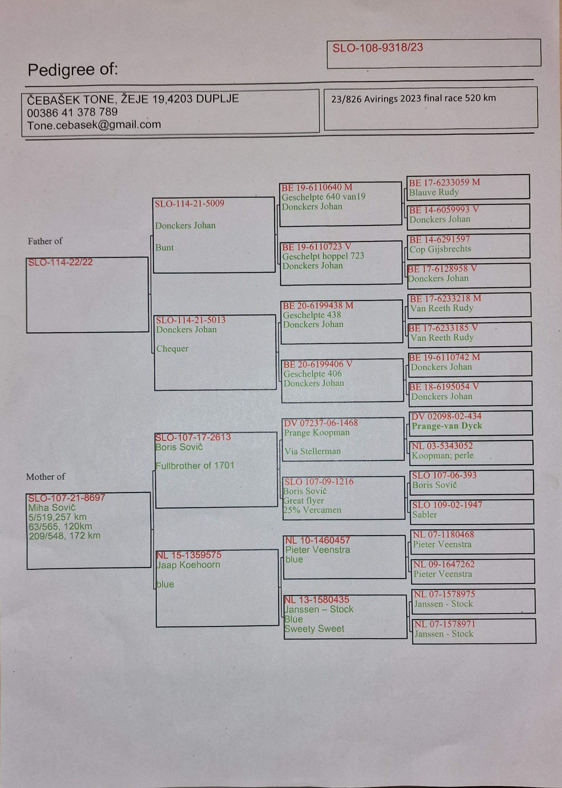 Pigeon pedigree image
