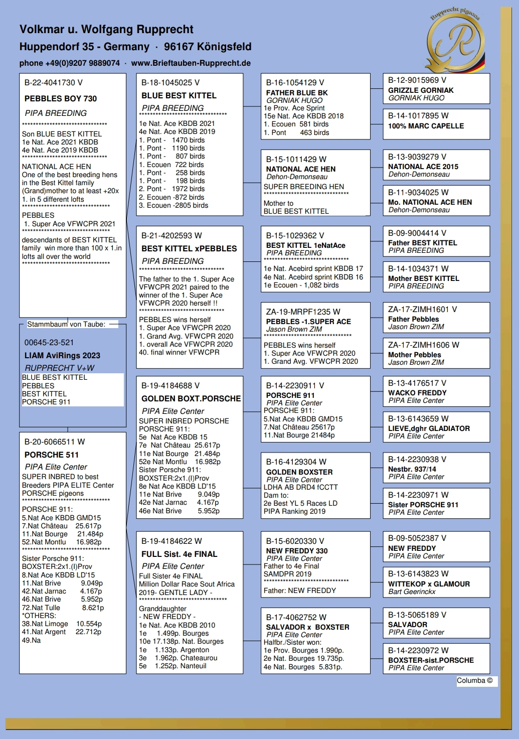 Pigeon pedigree image