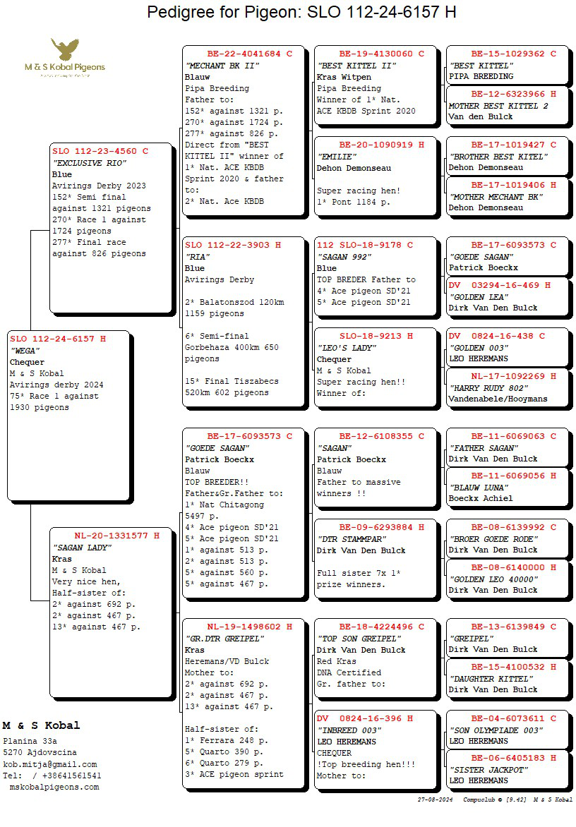 Pigeon pedigree image