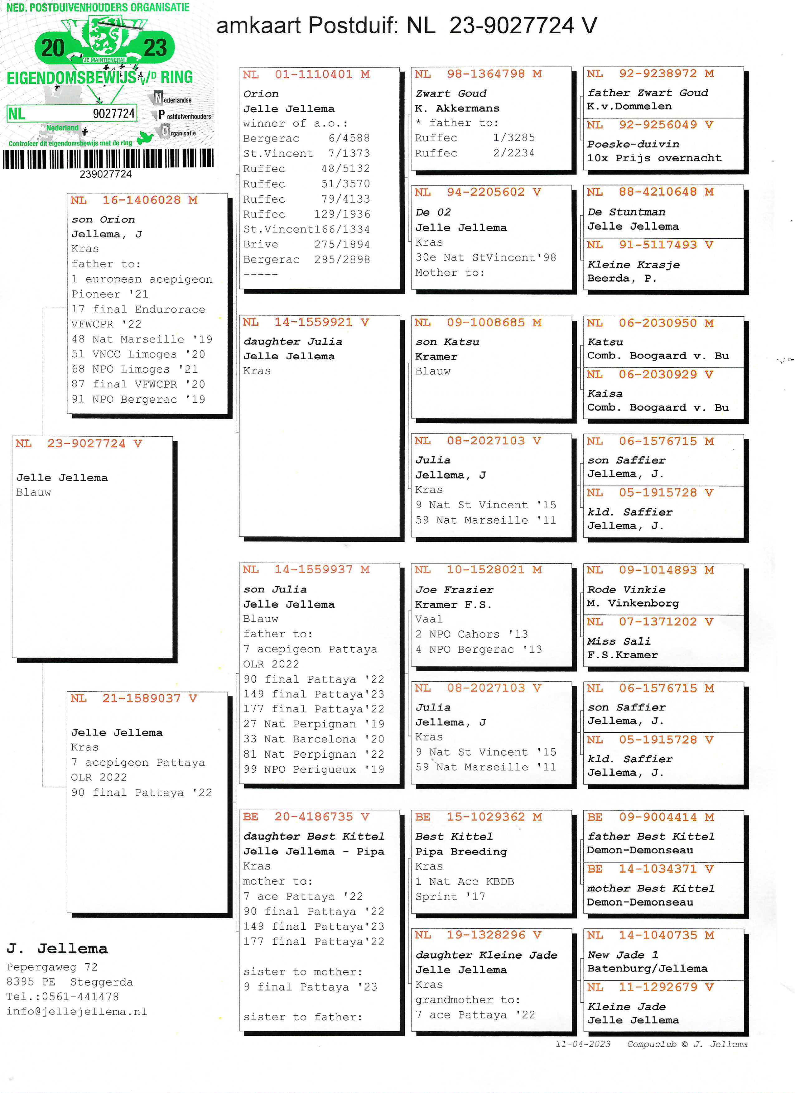 Pigeon pedigree image