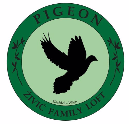 Pigeon image
