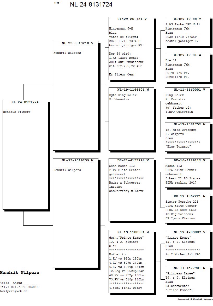 Pigeon pedigree image