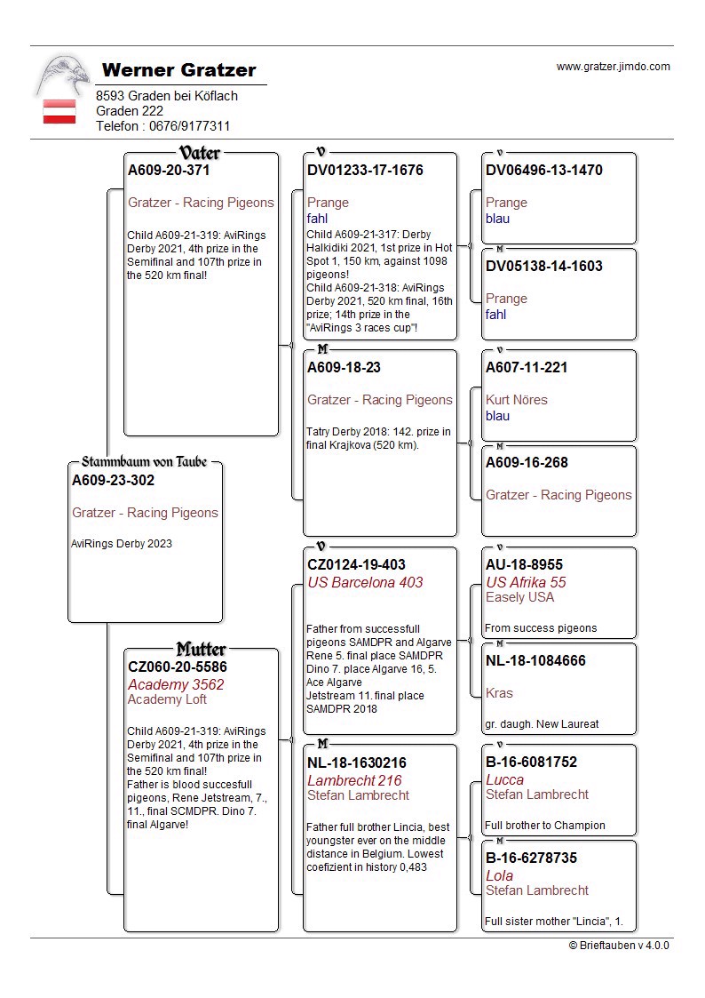 Pigeon pedigree image