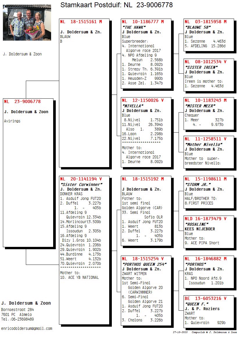 Pigeon pedigree image
