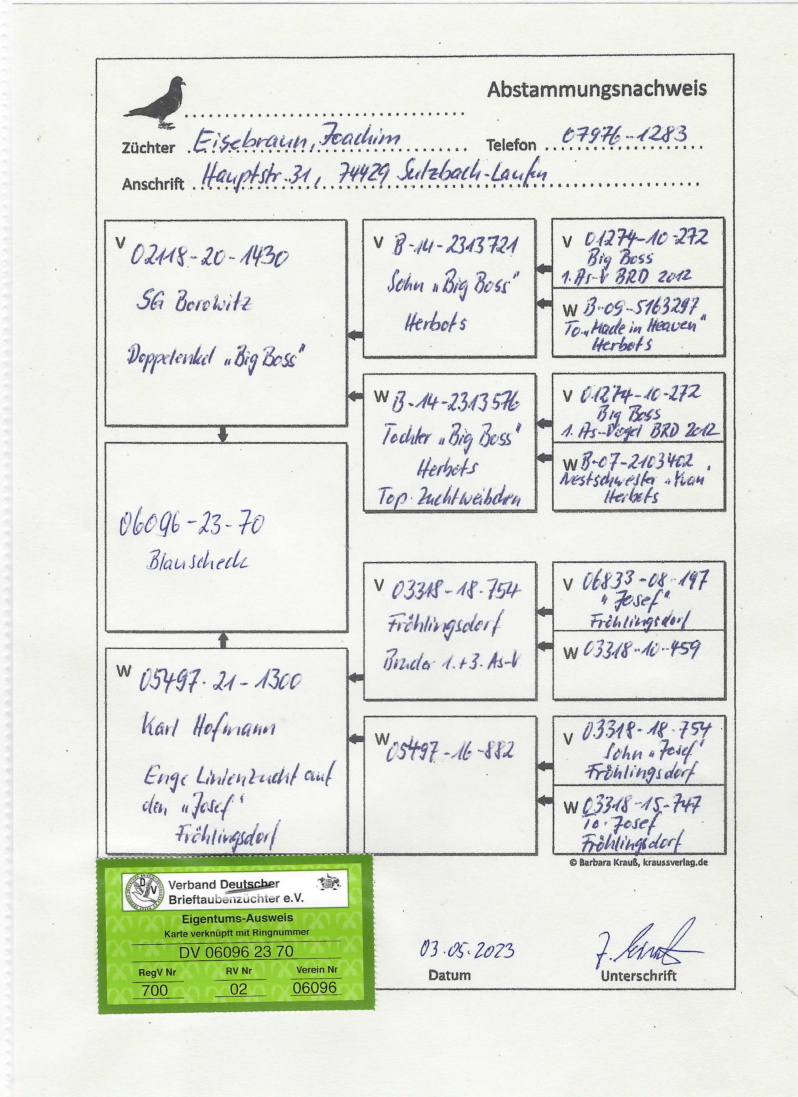 Pigeon pedigree image