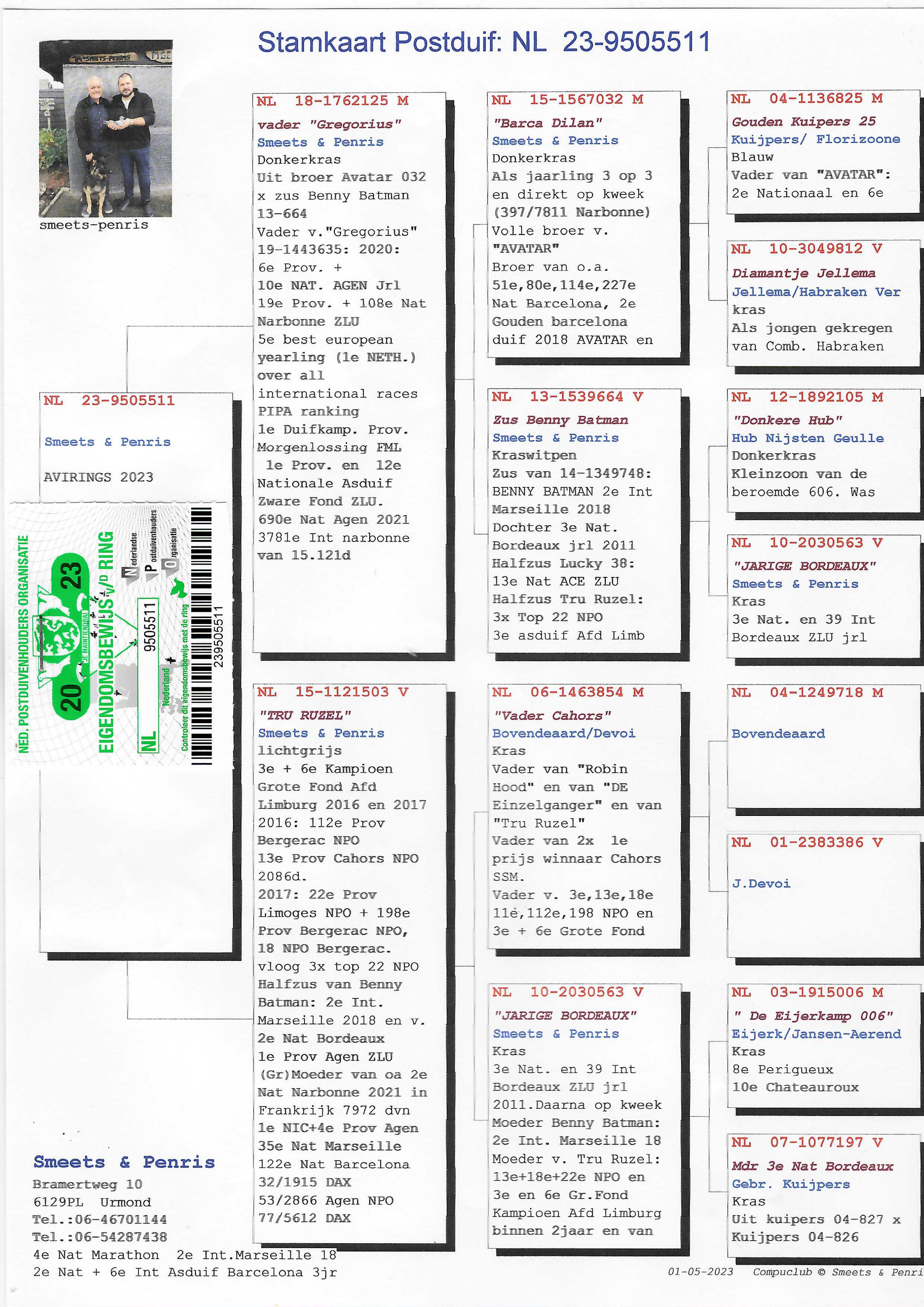 Pigeon pedigree image