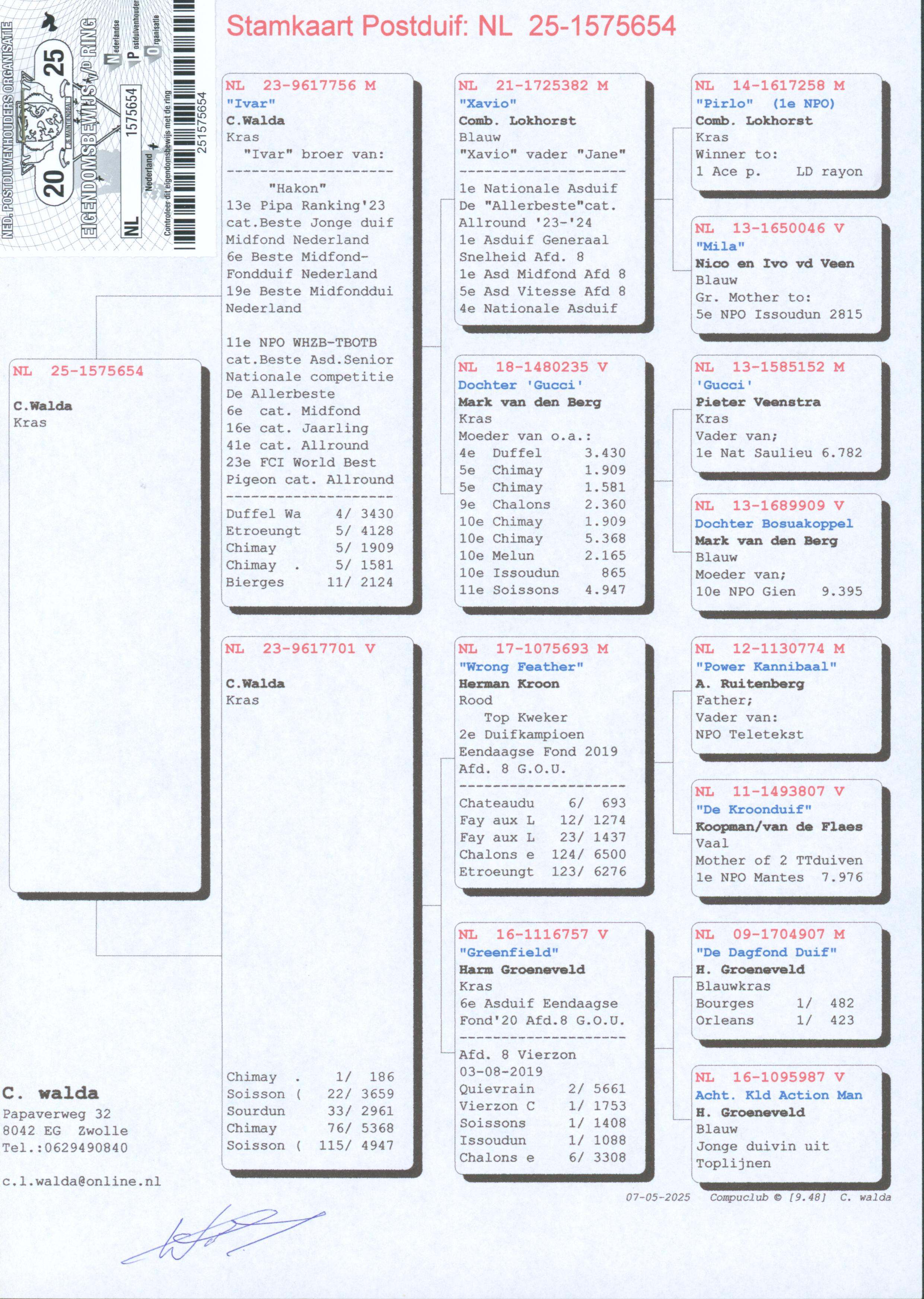 Pigeon pedigree image