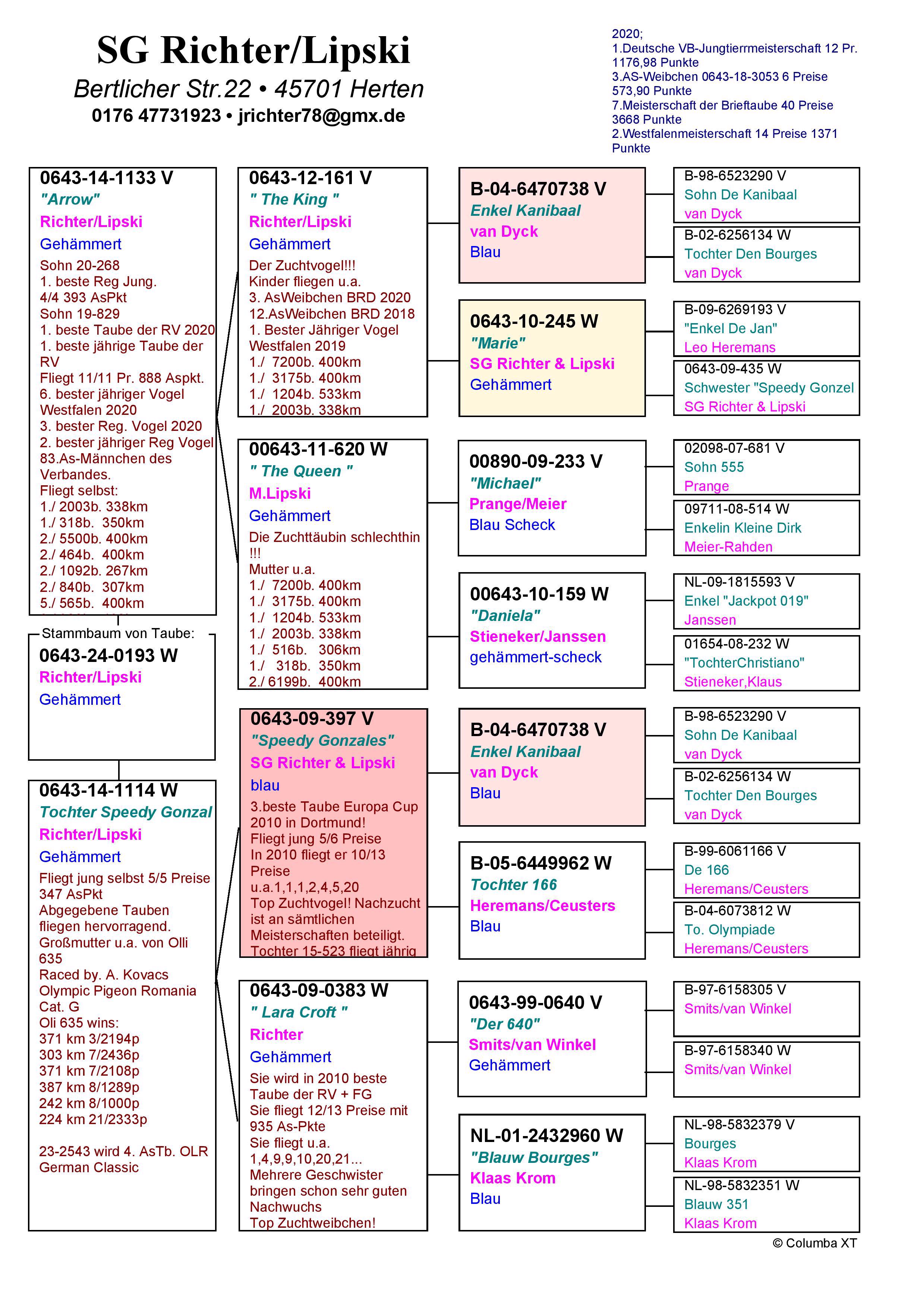 Pigeon pedigree image
