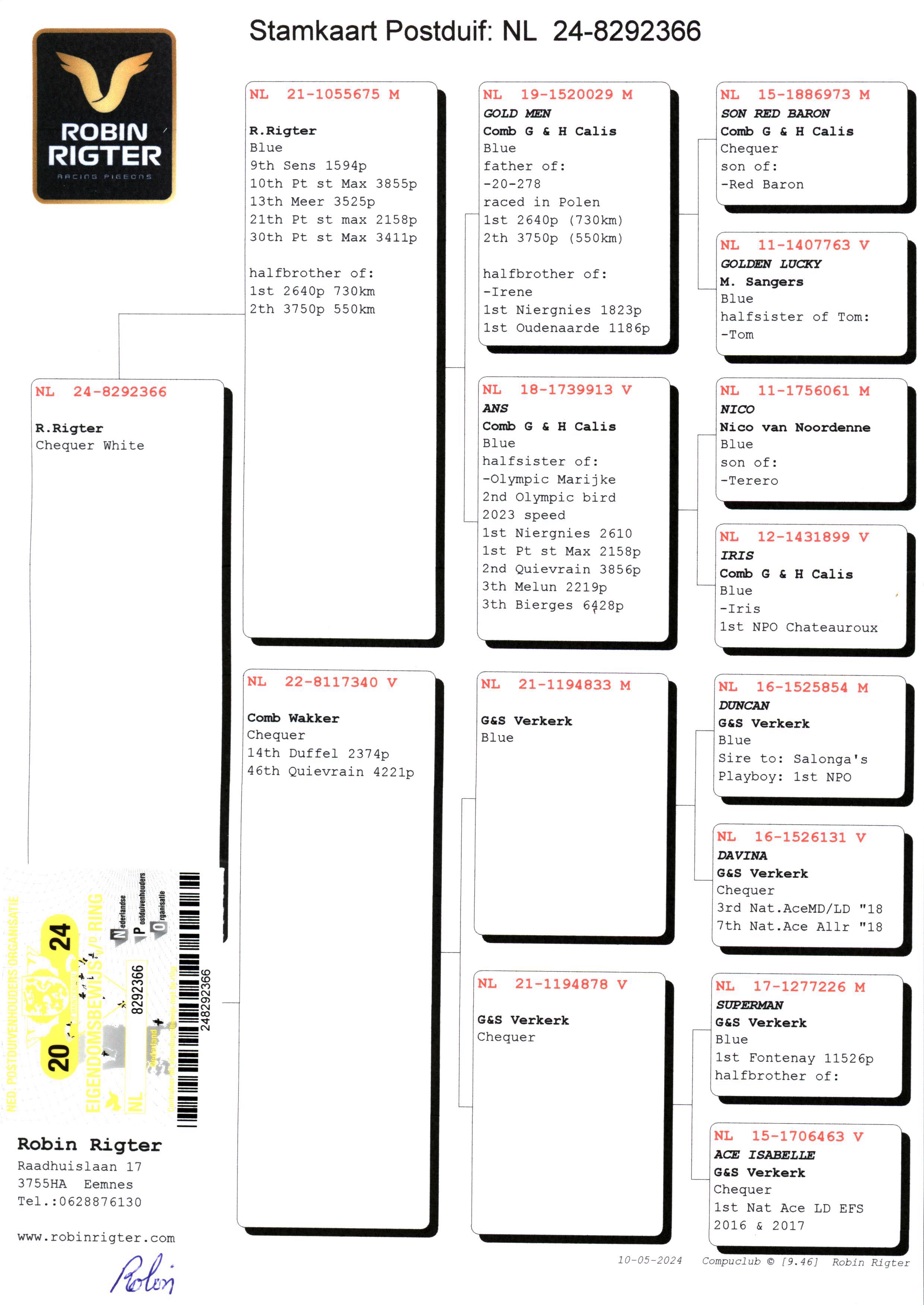 Pigeon pedigree image