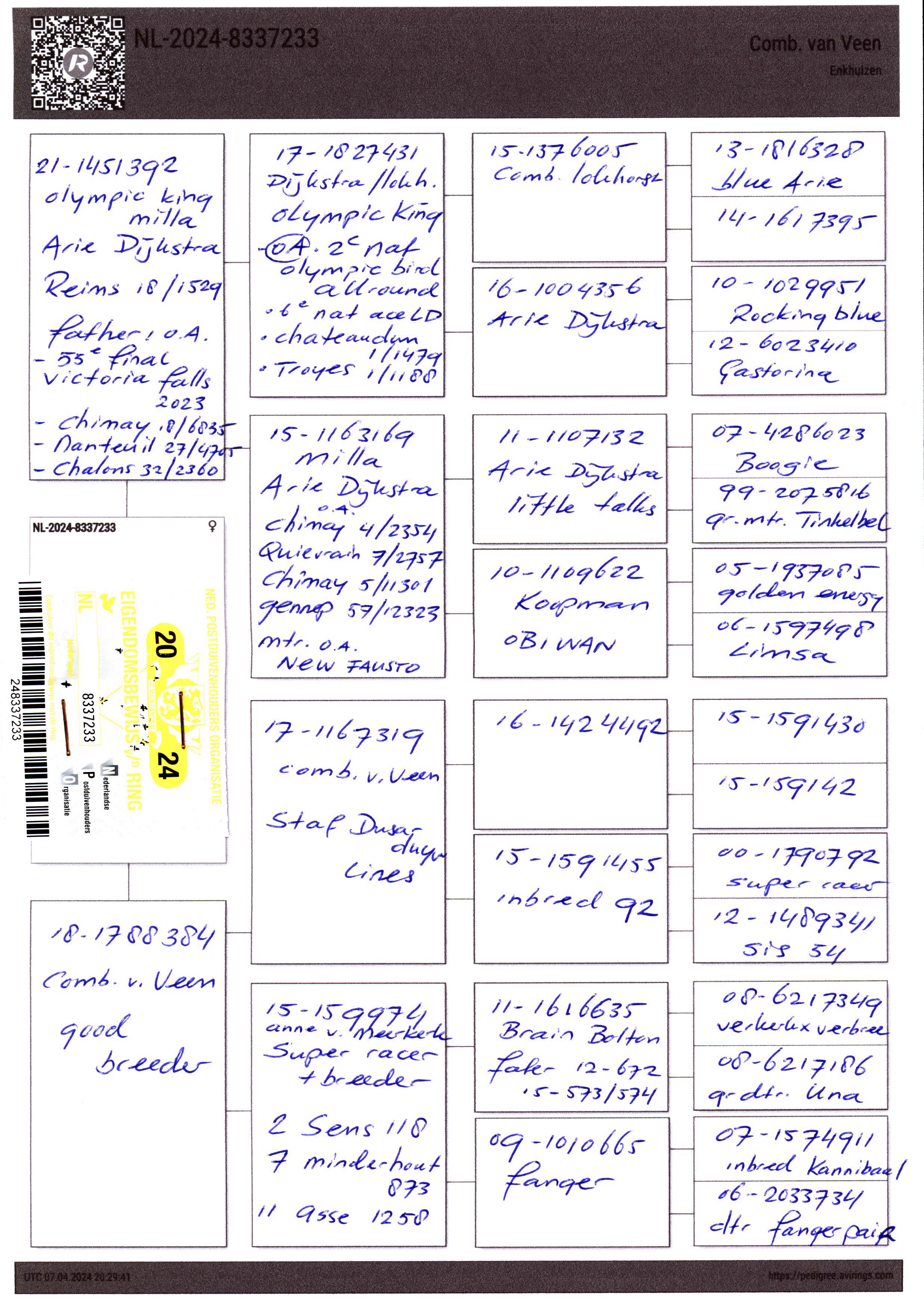 Pigeon pedigree image