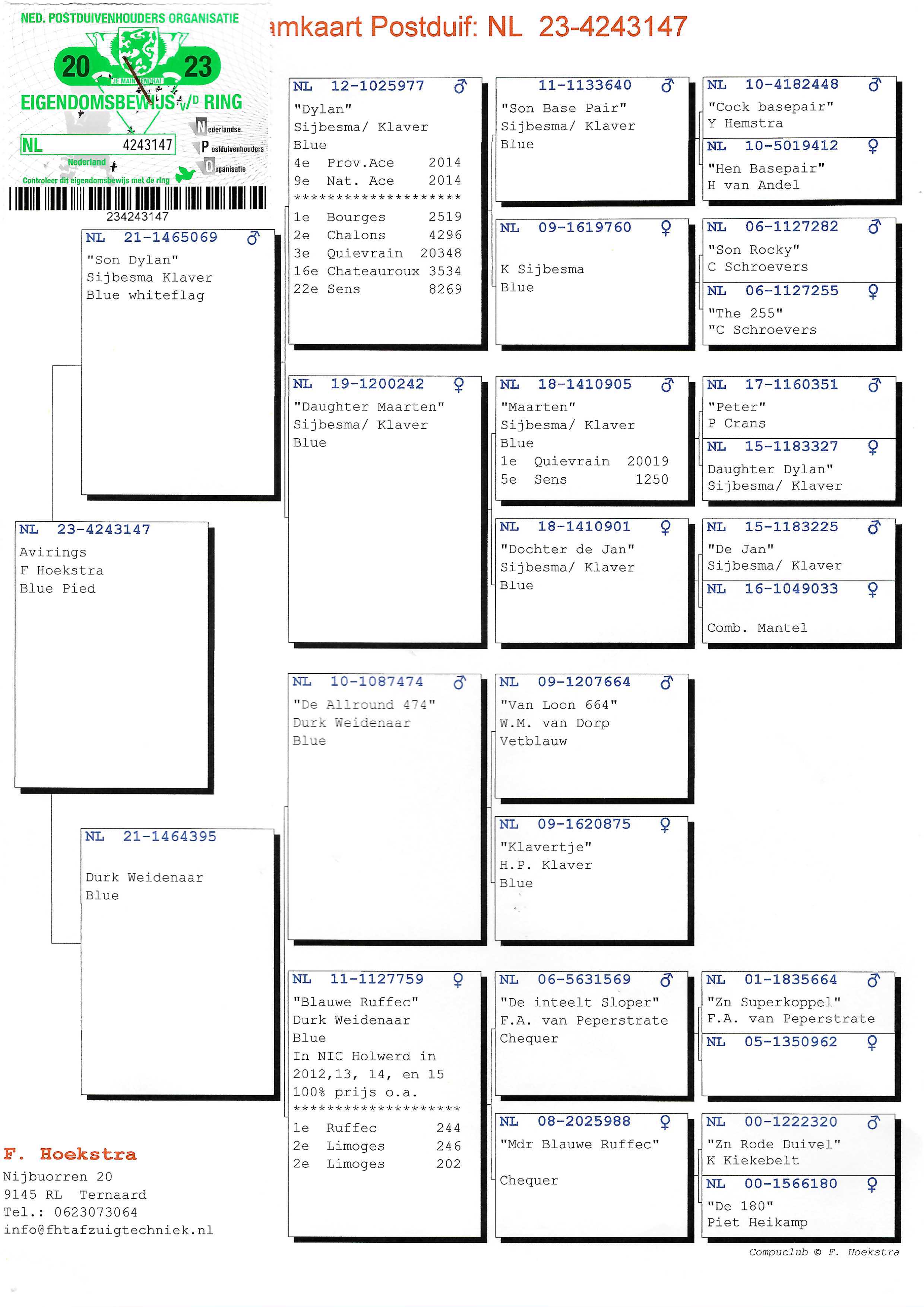 Pigeon pedigree image