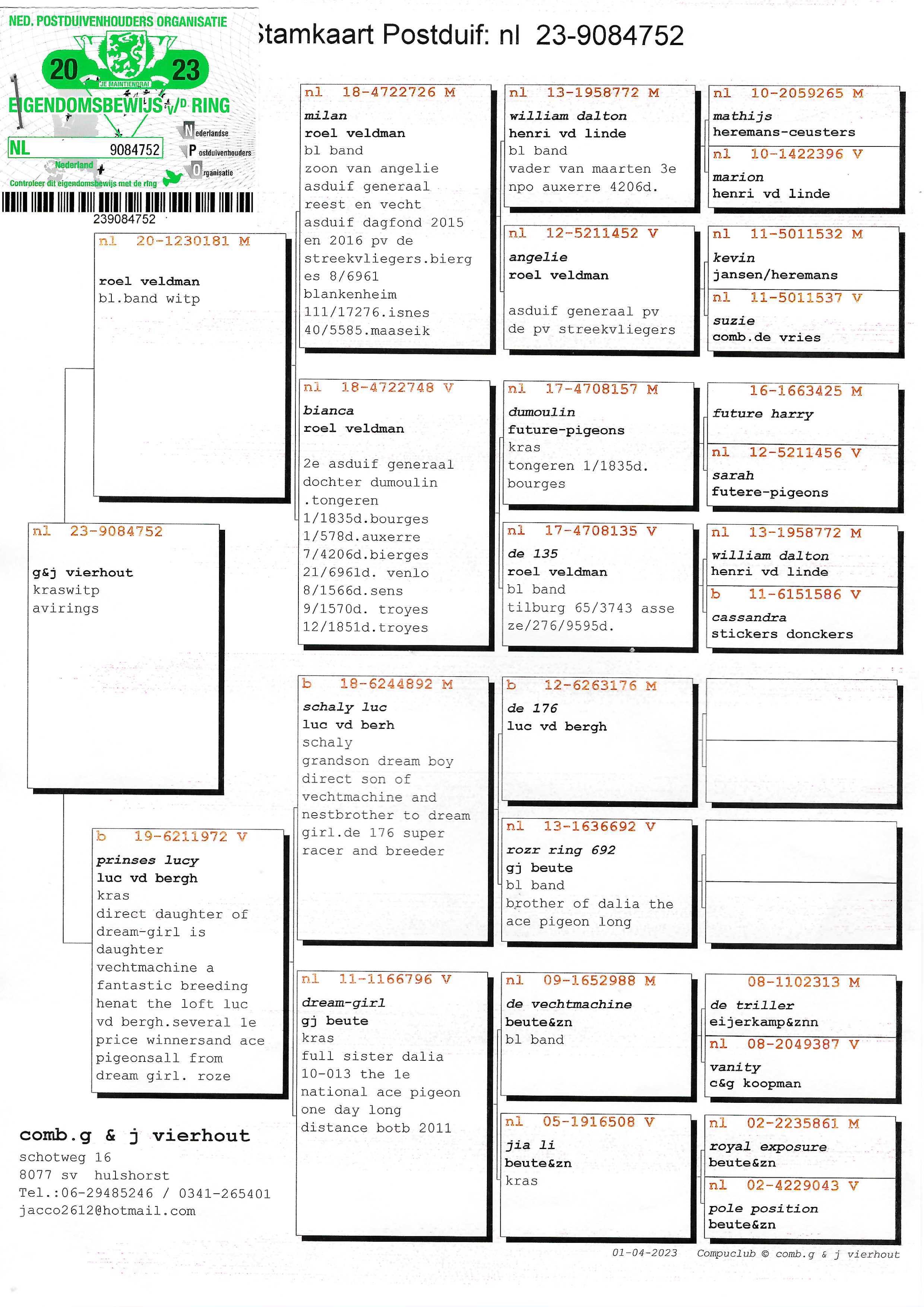 Pigeon pedigree image