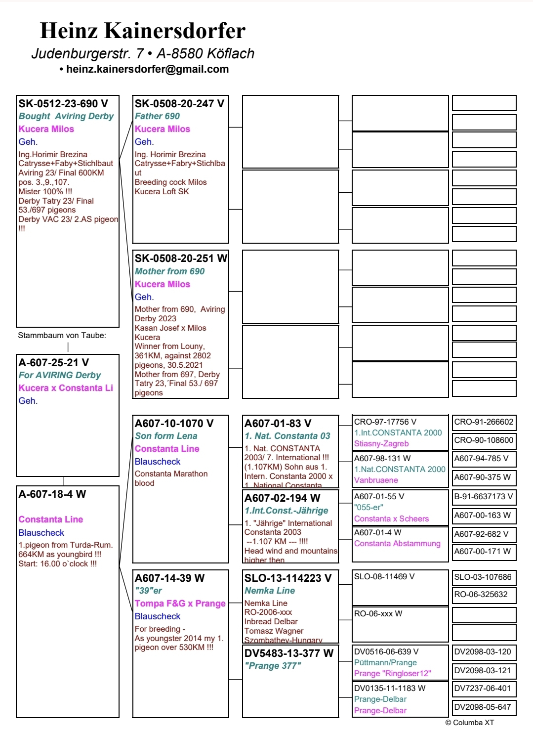 Pigeon pedigree image