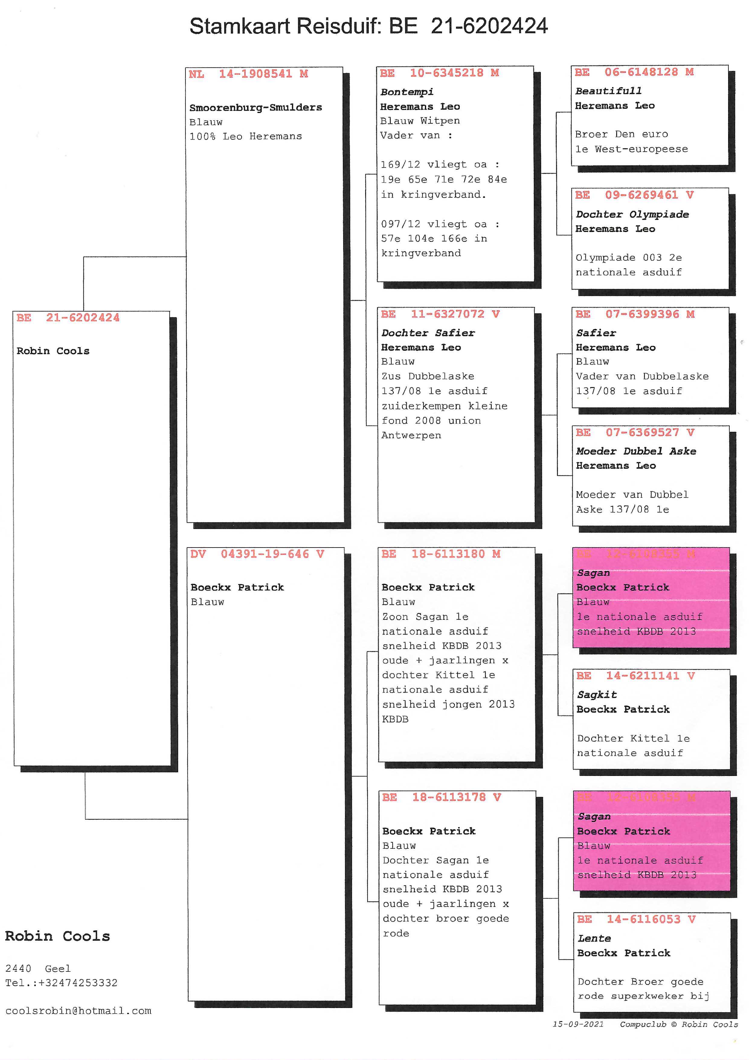 Pigeon pedigree image