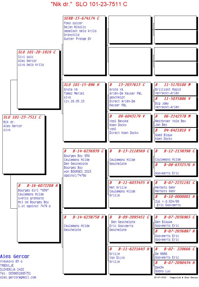 Pigeon pedigree image