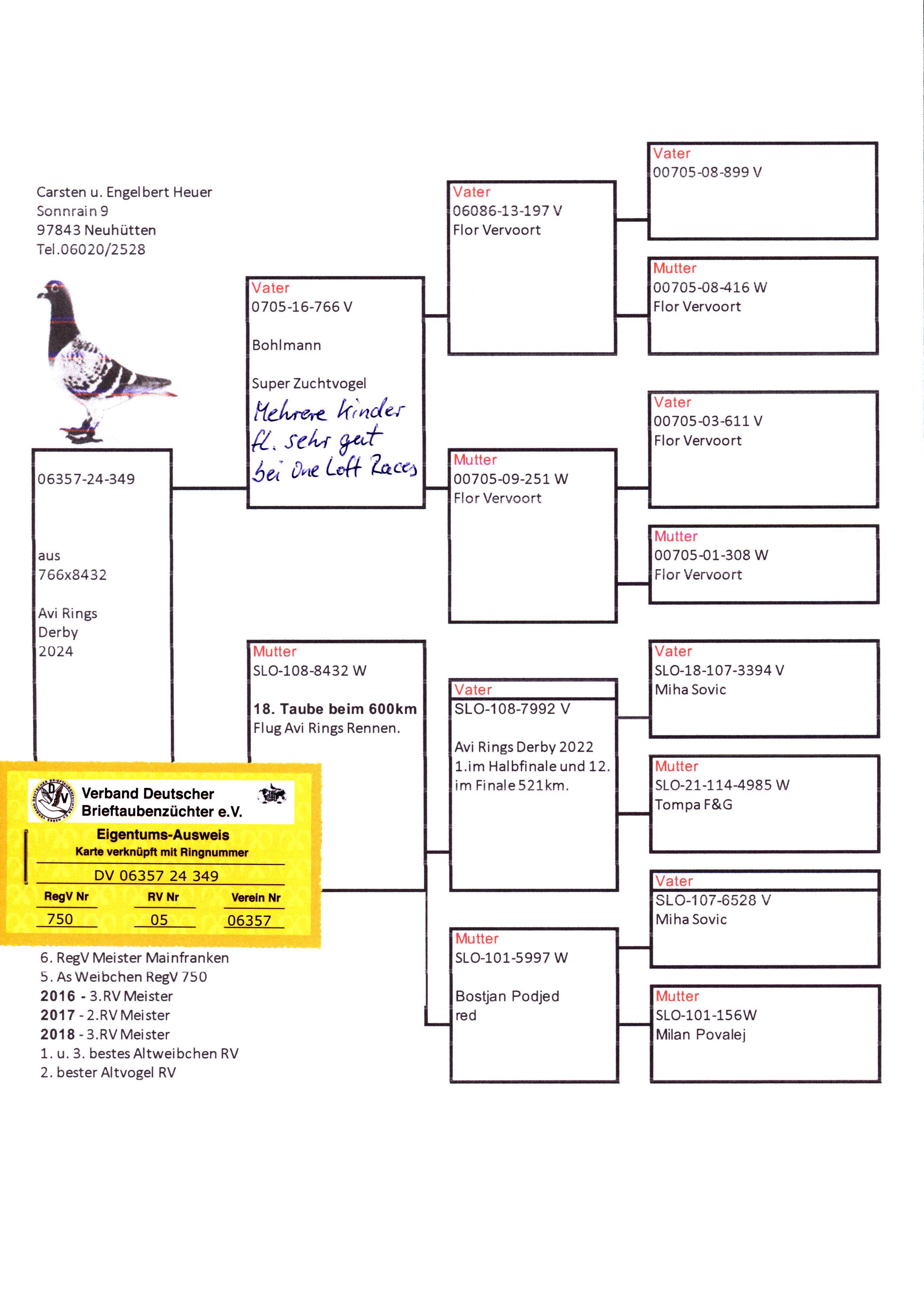 Pigeon pedigree image